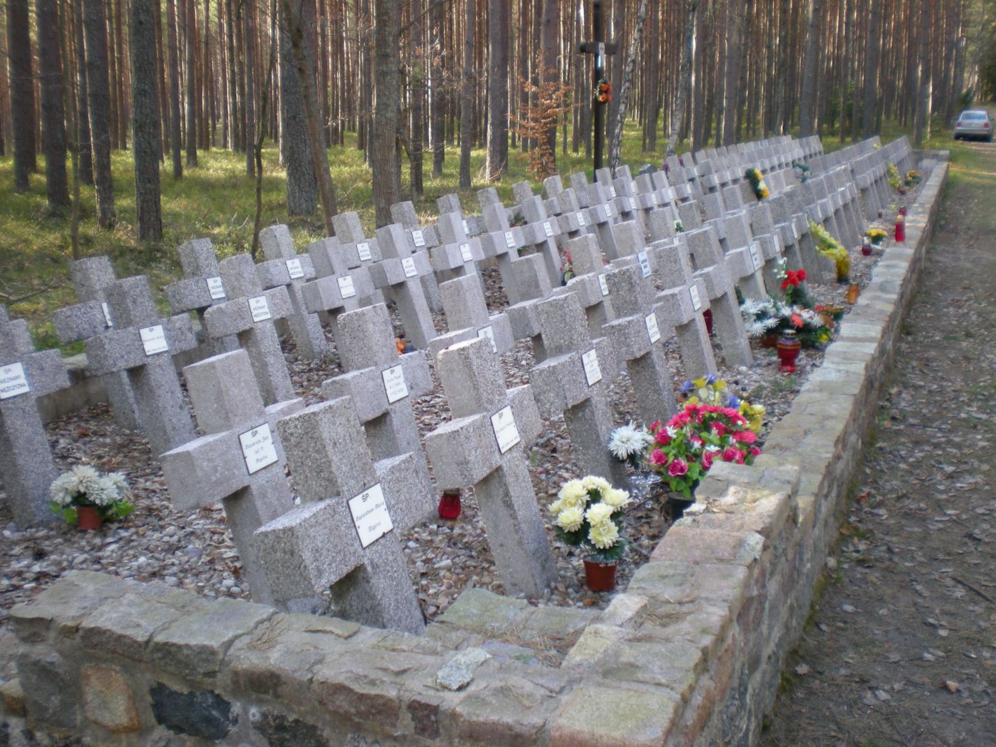 Grabanlage für die Opfer der Massaker von Piasnitz, Foto: Adam Nosarzewski, Wikipedia